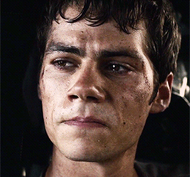 dylanobrien:The Maze Runner (2014) dir, Wes Ball.