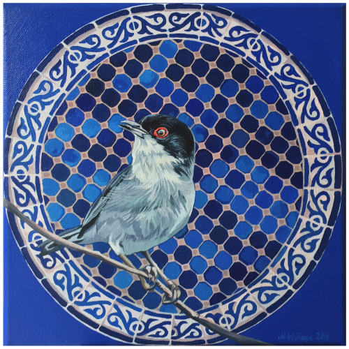  Sardinian warbler, 30x30 cm, acrylic on canvas. 