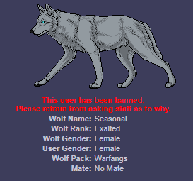 Discord Pfp Wolf Lone Wolf Anime Pfp Page 1 Line 17qq Com Wolfia Images