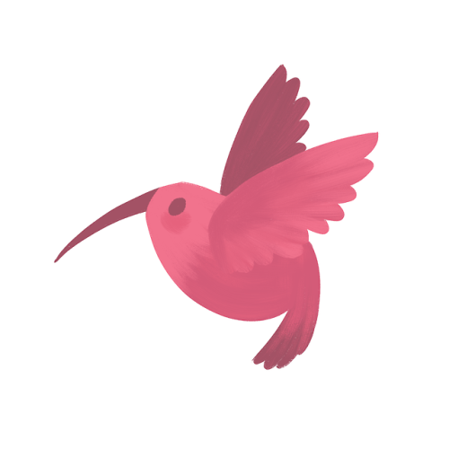 Hummingbird warmups (Sorry I haven’t been very active, school has kept me incredibly busy! Wil