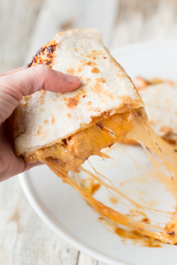 do-not-touch-my-food:  Teriyaki Chicken Quesadilla