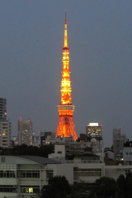 Here are a few pics of the trip!! Today we’ve been to Ebisu and visited the Nature Studies Ins