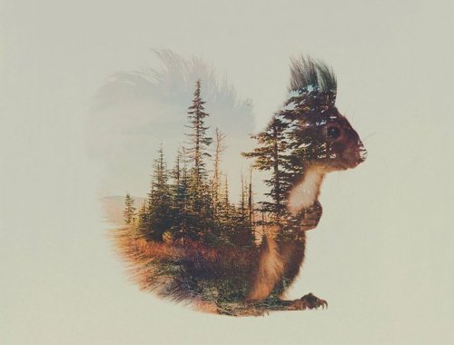 magics-secrets:  art