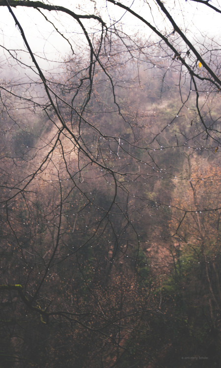 harryschuler:  EF 0138 S.LuganoFB | IG 