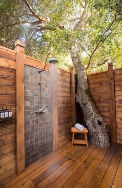 m4cravings:  Outdoor Shower Anyone?  With The Neighbouring Squirrel Watching You From The Tree?! Hehe, Love Natural Wood Structure Though.