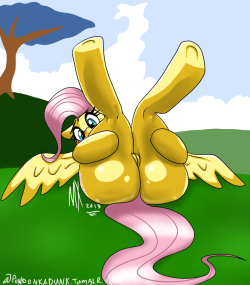 pondunkadunk:  Oh, my. Jeez! Somepony needs to hit a stair master! That’s just overkill! Ha, ha, ha! This photo looks like Pinkie’s handy work. The first of many I would guess. On the subject of Fluttershy’s posterior, I think hers is fitting for