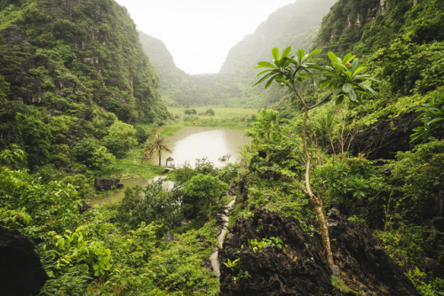 contentsmaydiffer:a place to get lost