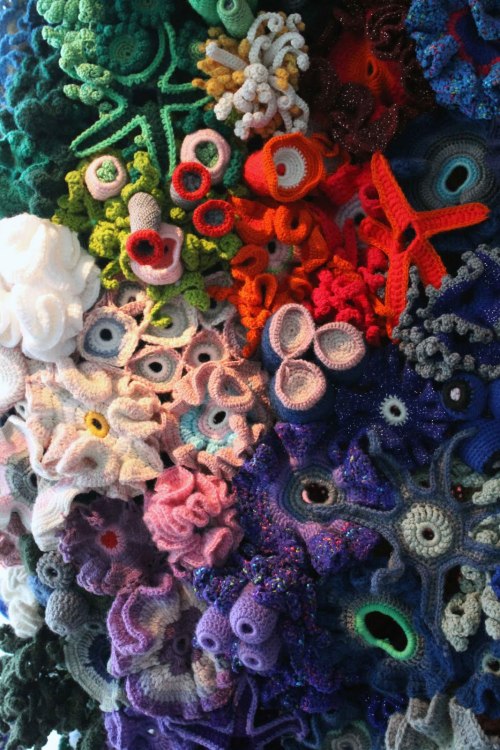 geekwithnoshame:  crochet coral reef The CCR is a project that resides at the intersection of mathem