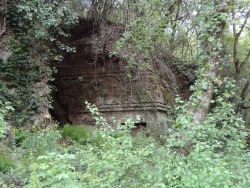 destroyed-and-abandoned:  An etruscan tomb in the woods near Blera, Italy 