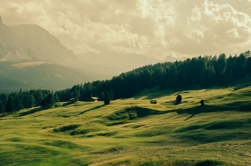 seasonschangeforanyone:  Strange shades by Tommaso’S Revelant on Flickr. 