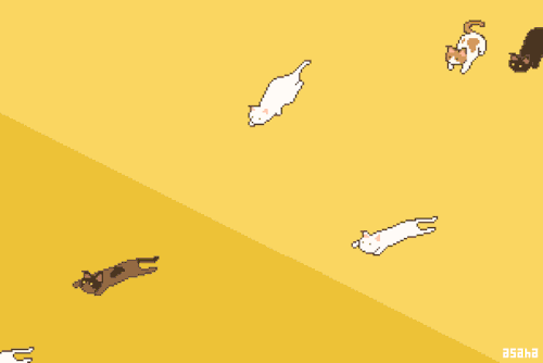 vpandav:Flying cats