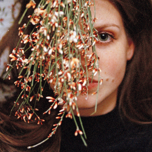foxmouth: Fleurs, 2015 | by Jasmine Deporta  
