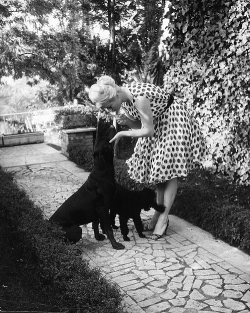 tinasinatra:  Anita Ekberg at home with her dogs, 1960 