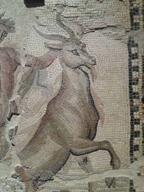 romegreeceart:Roman floor mosaic, Ostia antica* Exhibition: Ostia, Gateway to Rome. Vapriikki, Tampe