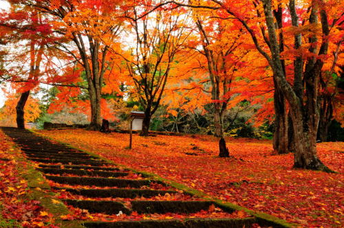 土津神社