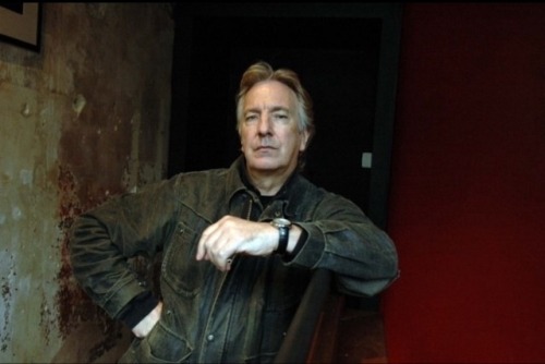 austenide - Alan Rickman. Being not amused.Credit - Francesco...