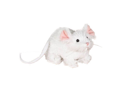 Day 10: Today's Friend Is The Lil' Kinz White Mouse!