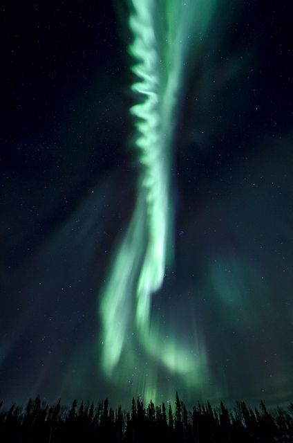 Gravitational Beauty