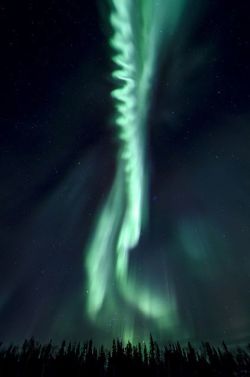 renamonkalou:Aurora Zipper | Jason Simpson