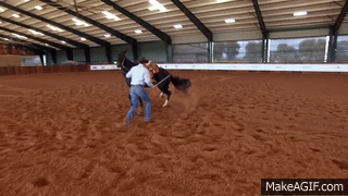 goodhorsekeeping:  sabino-spots:  iracebarrels:  themotherfuckingclickerkid:  Today
