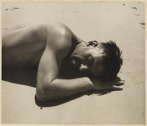 1bohemian:Harold Salvage by Max Dupain - 1937