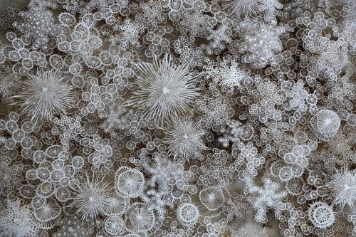 mymodernmet:Incredibly Detailed Paper Sculptures Resemble Natural Microorganisms