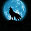 lonewolf556