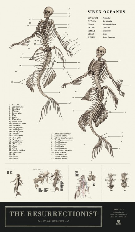 therebedragonshere:  ea-solinas:  Pictures from The Resurrectionistby E.B. Hudspeth. I recommend it wholeheartedly! It’s full of pictures like these! It’s on amazon.  ASK AND YOU SHALL RECEIVE 