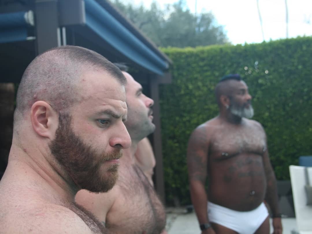 Where The Bears Are Gay Where The Bears Are Gay
