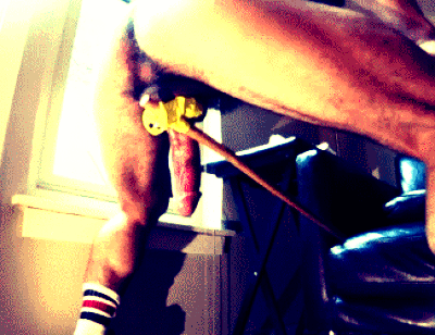 StretchNSniff