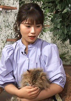 akb48love:  Shibuya Nagisa showing her love for cats