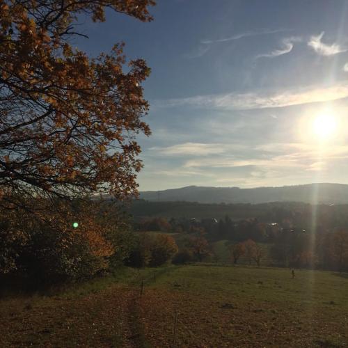 Herbstspaziergang #indian #summer #in #germany #gombsen #downtown #nature #nofilter #sun #loveiswher