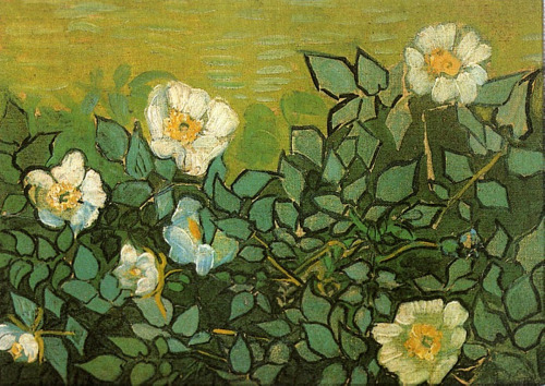 vincentvangogh-art: Wild Roses, 1890 Vincent van Gogh
