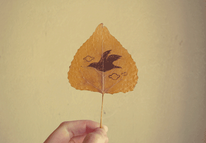 therealpsl:  Slow down little birdie!