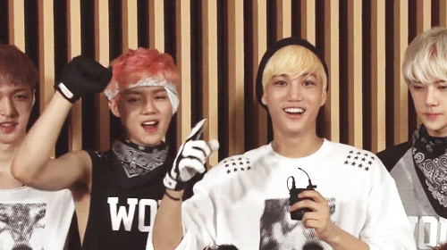 whooon-blog:  Jongin getting carried away when asked what he’d like to do with the fans 