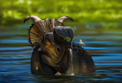 dinodanicus:A bathing pachyrhinosaurus provides the perfect perch for a small traveler.