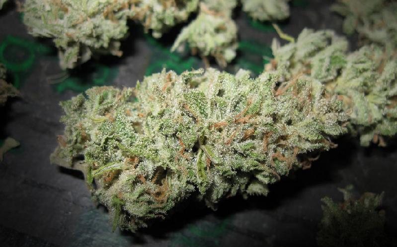 cannaweed420:  Tired of paying for your weed ? - Click here