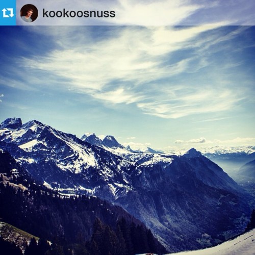 #Repost from @kookoosnuss with @repostapp — #FREESKIER #WinterIsComing #Skiing #mountains #switzerland #snow #cantwait