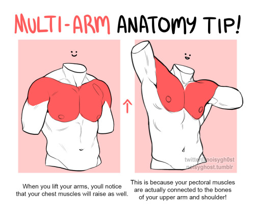 noisyghost:    i’m still learning anatomy