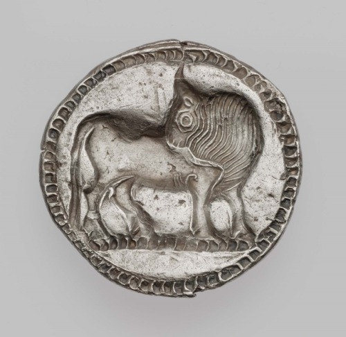 ancientanimalart:Stater of Sybaris with standing bullGreekArchaic Periodabout 525–510 BCEMuseu