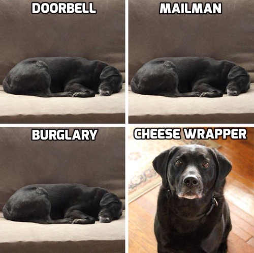 stevegy34: Oh yeah, from 3 rooms away!  Hahaha so true @candyskinkyplace