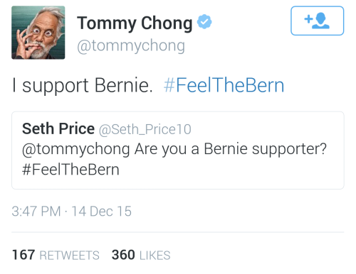 macleod: Tommy Chong has officially endorsed Bernie Sanders for president! You may know Tommy Chong 