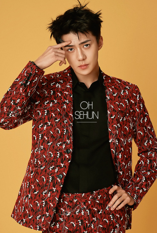 sehurn:sehun · l'optimum thailand pt.1