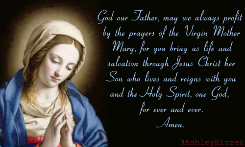 Happy Solemnity of the Virgin Mary! 