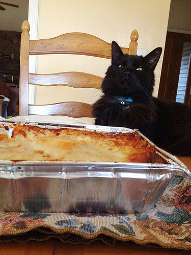Happy National Lasagna Day!(via Lizzie Fall)