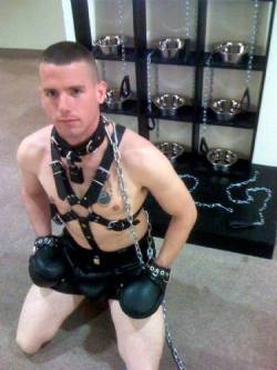 hushpuppy1980:  Considerate handlers will always provide some choices for their puppies. happyfroshcurated:  Gotta love the display case of dog bowls and leashes. hot recon profile: ARMYJOCK  