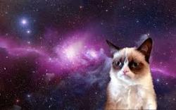 justacatblog:  Grumpy cat in space. 