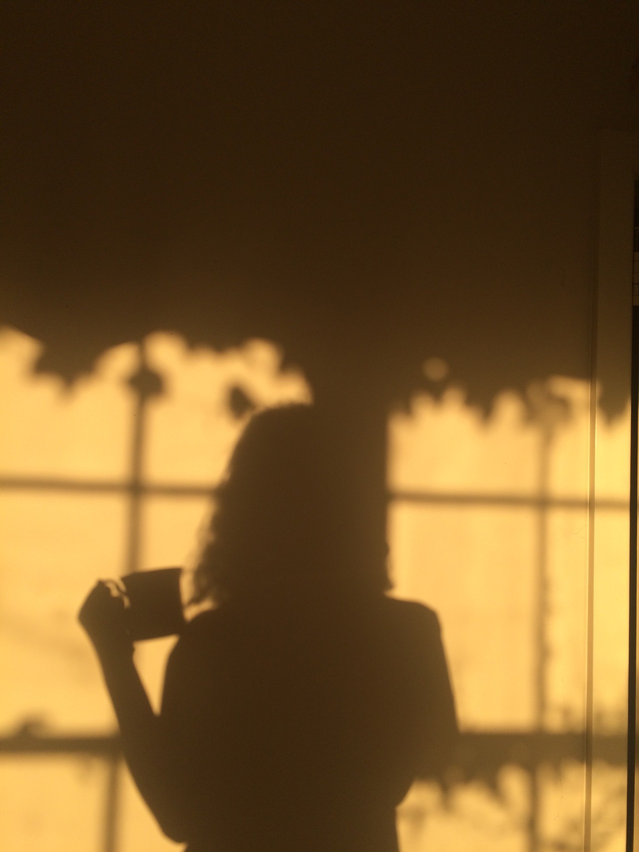 ninetiespeach:  playing with light &amp; shadow with an empty tea cup 🔎🕊🍁