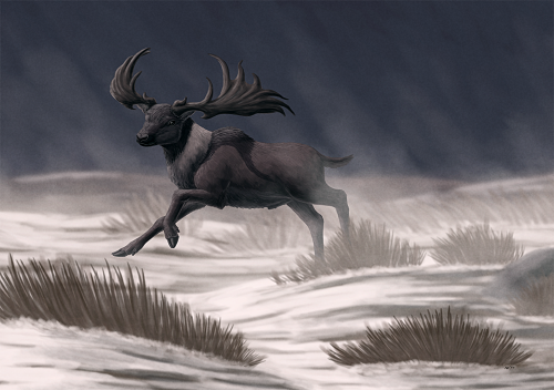 alphynix:Megaloceros giganteus, the giant deer — often referred to as the “Irish elk”, despite being