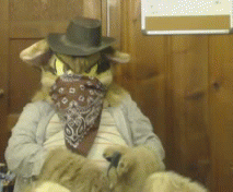 Here’s some old gifs of my pal dirticus-prime. Love this guy
